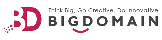 Bigdomain Logo