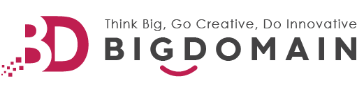 Bigdomain Logo Original